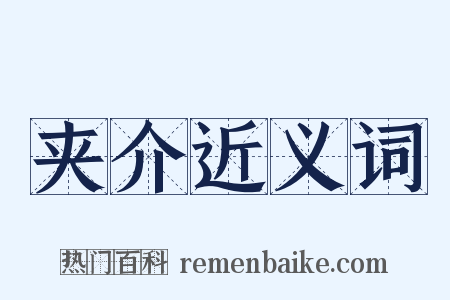 夹介近义词是什么意思的图片